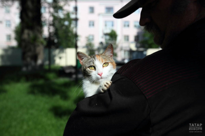 Депутаты Госдумы предложили запретить использование домашних животных в качестве залога