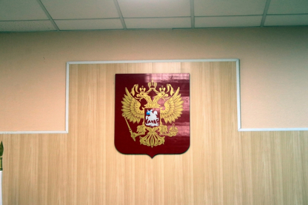 В Челябинской области задержанную после гибели третьеклассника чиновницу отпустили домой