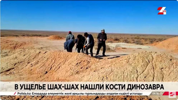 Останки динозавра нашли в Кызылординской области