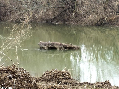Вятка продолжает подъем, остальные реки Татарстана уходят на спад