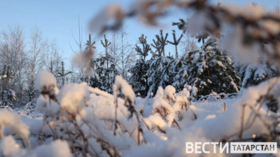 В Татарстане 26 февраля ожидаются снег и -16 градусов
