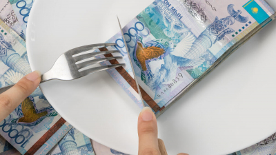 Предназначенные для беременных женщин соцвыплаты похитила мошенница в Шымкенте