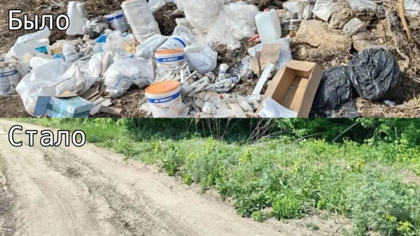 Свалку площадью в трехкомнатную квартиру убрали в садоводческом товариществе Челнов