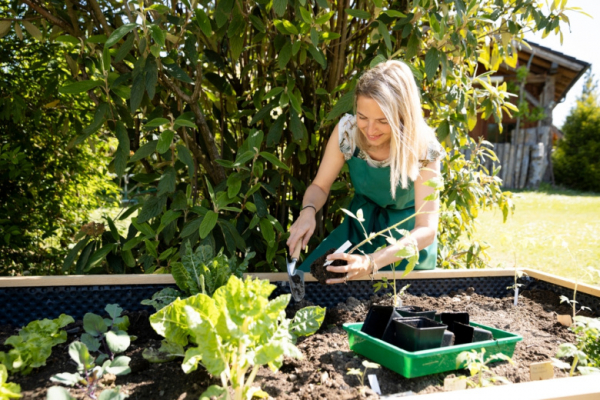 Что надо сделать в огороде в первую декаду мая: 7 обязательных дел