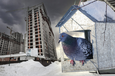 РБК: Новые ограничения по&nbsp;семейной ипотеке обвалили спрос на&nbsp;нее на&nbsp;40%