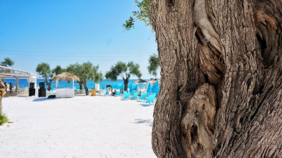 Pegas Touristik прогнозирует рост спроса на Турцию вместо ОАЭ