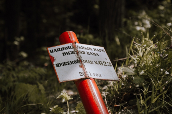 В нацпарке &laquo;Нижняя Кама&raquo; под Елабугой могут создать глэмпинги &ndash; ищут инвестора