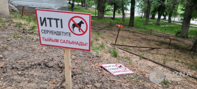 Выгуливать собак в скверах запретили, но альтернатив не предложили: мнение семейчан и ответ акимата