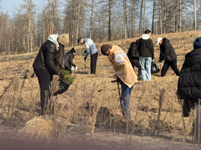 Лес ждёт тебя!