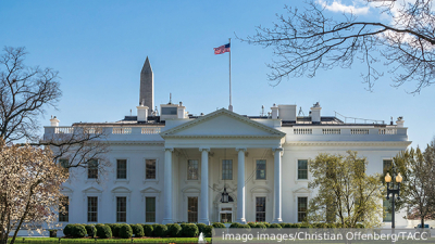 Politico: Муниципальные выборы во Франции будут судьбоносными для Европы