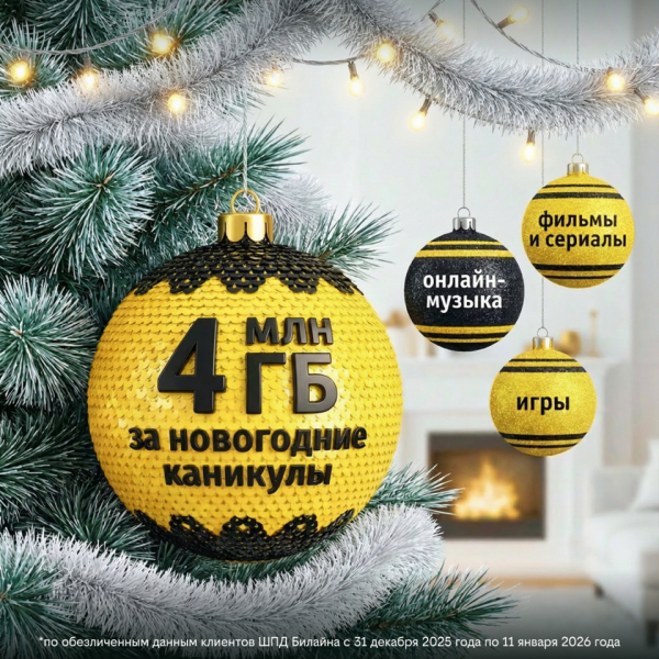 Татарстанцы в новогоднюю ночь активно пользовались домашним интернетом Билайна