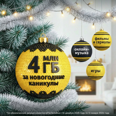 Татарстанцы в новогоднюю ночь активно пользовались домашним интернетом Билайна