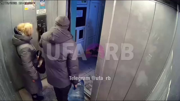 Выпрыгнул в последний момент: жуткое видео из лифта, который едва не придавил мужчину 26/02/2026 &ndash; Новости