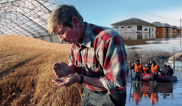 Затопленные зернохранилища: на какую поддержку могут рассчитывать казахстанские аграрии