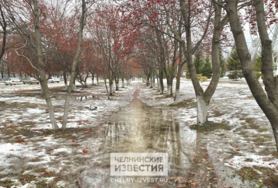 Хороший урожай и погреба с водой: какими будут последствия снежной зимы