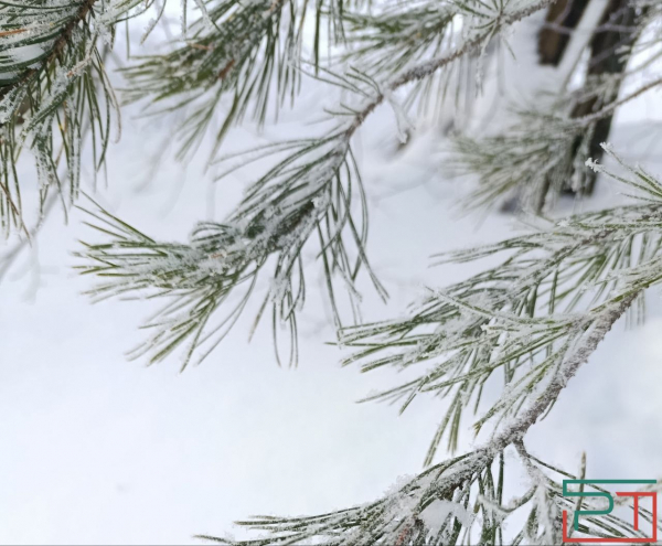 В Татарстане температура воздуха понизится до -33 градусов