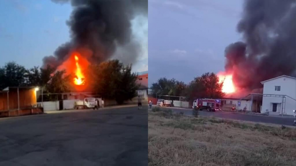 Птицефабрику Маргулана Сейсембаева в Алматинской области охватил пожар