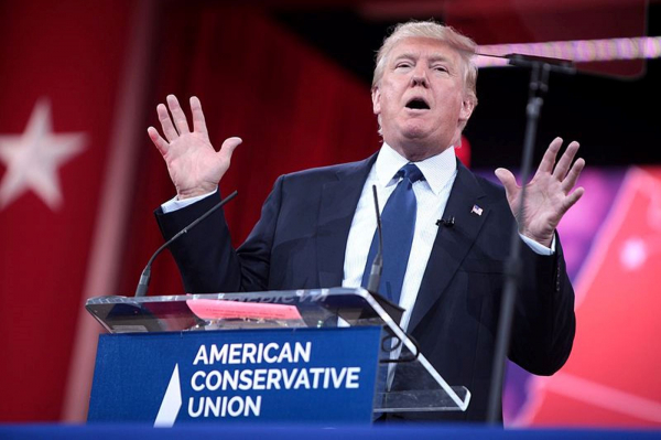 Politico: присутствие НАТО в Арктике сдерживает Трампа, а не Россию