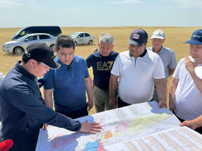Свыше 2,5 тыс. человек борются с саранчой по Казахстану