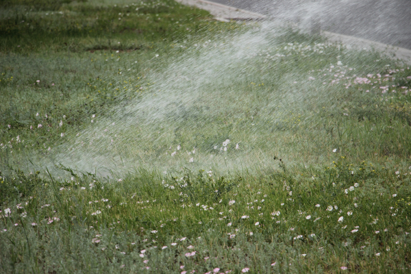 Систему заключения электронных договоров по подаче поливной воды тестируют в Казахстане