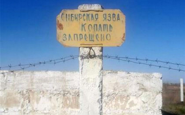 Три могильника сибирской язвы затопило в Актюбинской области