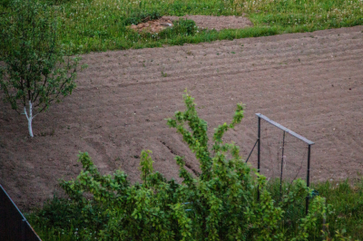 Nature Health: высокий уровнь пестицидов повышает риск онкологии в 1,5 раза