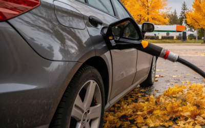 Каковы сроки ценового моратория на бензин и дизель