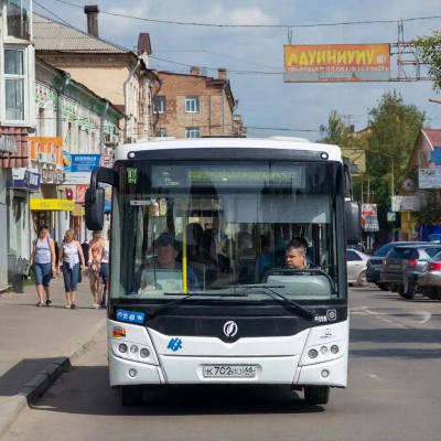 Тулунский автоперевозчик заплатит 100 тысяч пострадавшей пассажирке