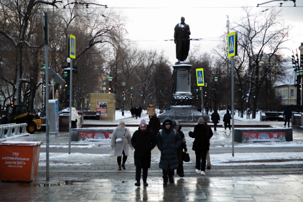 Химик Артамонова: уличные реагенты сушат кожу и разрушают обувь