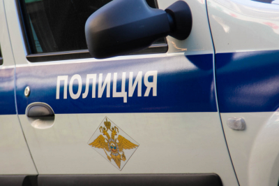В Москве в конце августа испытают робособак для патрулирования