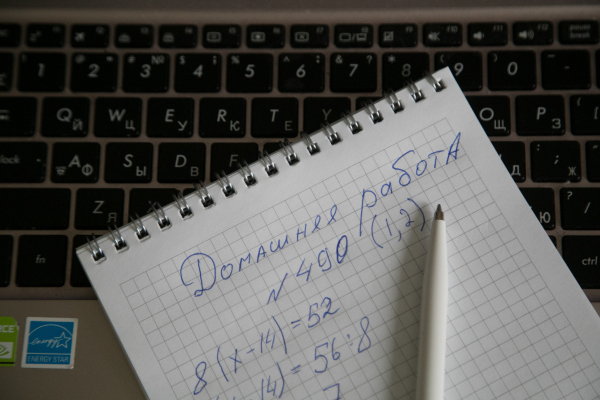 Минпросвещения готовит законопроект о&nbsp;регулировании семейного образования &ndash; его предлагал депутат Госдумы от&nbsp;РТ&nbsp;Вольфсон