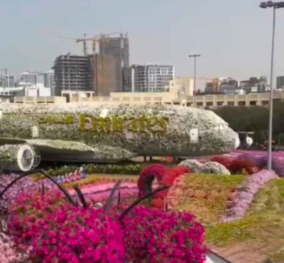 Прыгали от счастья и рыдали: челнинцы вернулись на родину из атакованных Эмиратов