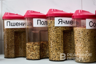 В Татарстане проверили 93% зерновых семян &mdash; 230 тыс. тонн