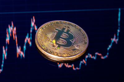 Госдума приняла в&nbsp;первом чтении законопроект о&nbsp;легальном обращении криптовалют