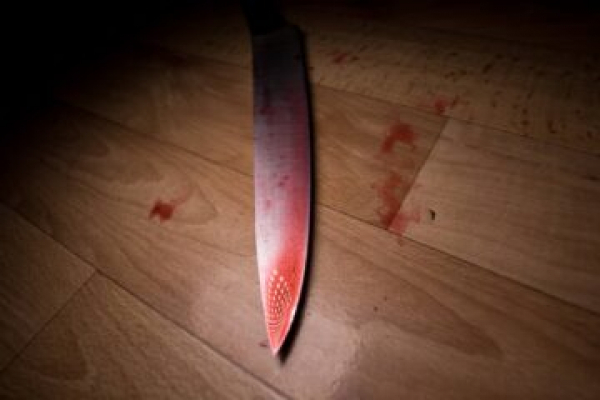 Смерть девочки не связана с нападением на школу в Нижнекамске 24/01/2026 &ndash; Новости