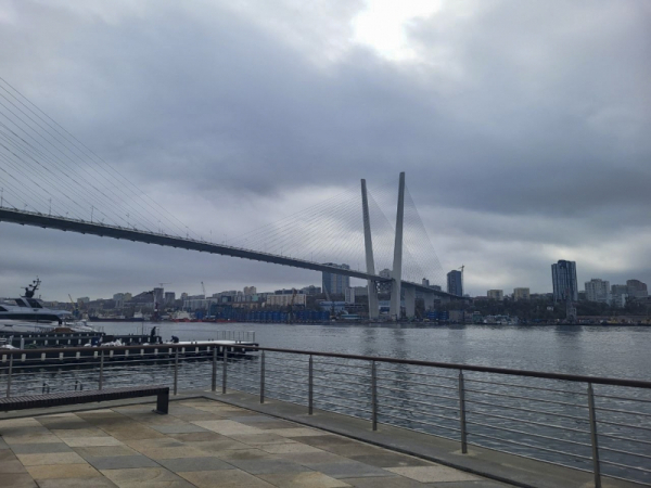 В представительстве МИД во Владивостоке прокомментировали слухи о ВНЖ для китайцев