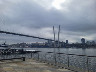 В представительстве МИД во Владивостоке прокомментировали слухи о ВНЖ для китайцев