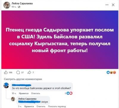 Опытный "лизун" Лейла Саралаева не замечает бревно в собственном глазу
