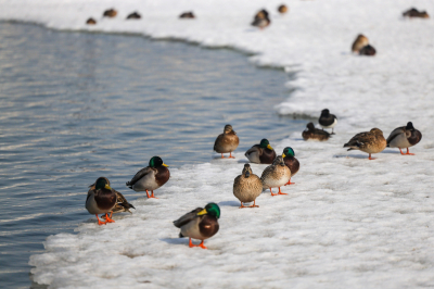 В&nbsp;Татарстане завтра ожидаются гололедица и&nbsp;температурные качели: от&nbsp;минус 9 ночью до&nbsp;плюс 9 днем