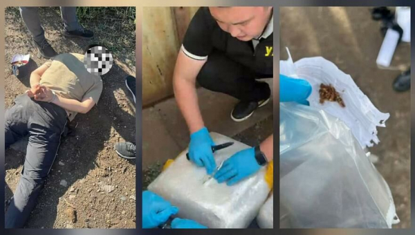 Крупный канал поставки наркотиков пресекли в Павлодарской области