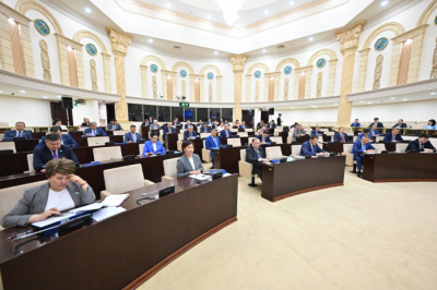 Сенаторы одобрили законы о конвенции МОТ и соглашения с Катаром в сфере трудовой миграции
