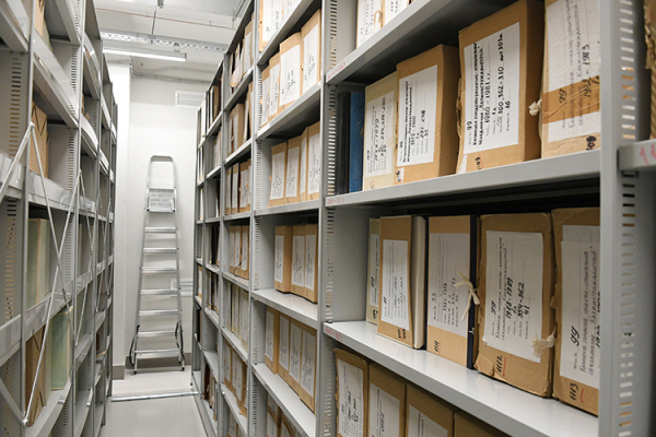 И.о. директора Госархива Татарстана назначили Марину Уклонскую