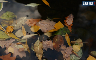 Погода в Актобе на 4-6 ноября