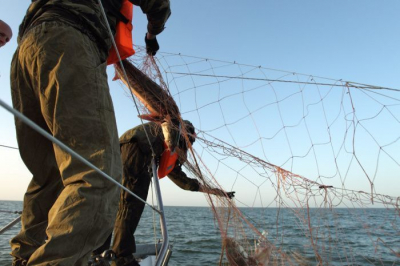 Рыбная отрасль в Атырауской области терпит бедствие