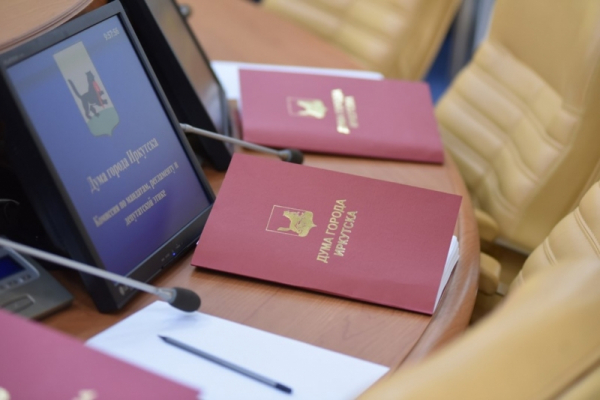 Думская неделя в Иркутске: депутаты обсудят тепловой луч, школу &laquo;Крылья&raquo; и новые автовокзалы
