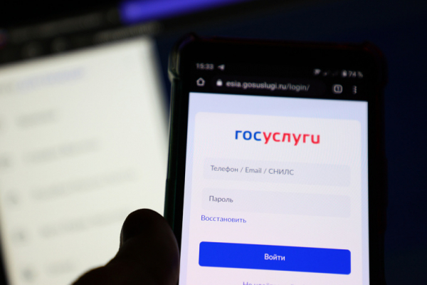 На &laquo;Госуслугах&raquo; может появиться неожиданный сервис