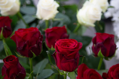 Карьерный консультант Валинуров назвал архаизмом сбор денег с сотрудников на поздравление коллег-женщин с 8 Марта