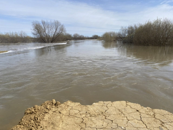 Паводок в Сибири: режим повышенной готовности введен в Новосибирской области