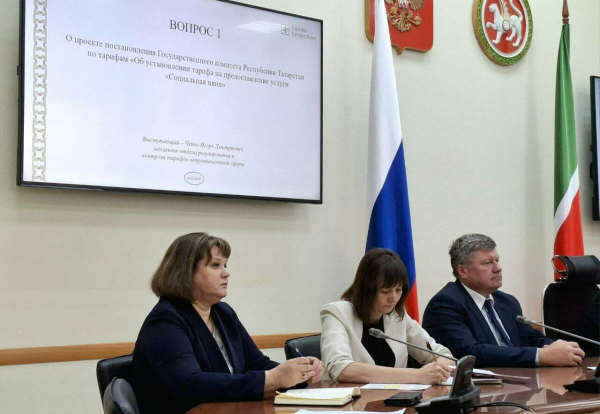 В Татарстане установили размер возмещения затрат НКО на услугу &laquo;Социальная няня&raquo;