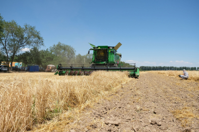 Колос с надбавкой